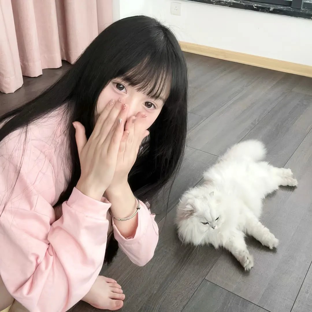 老友记